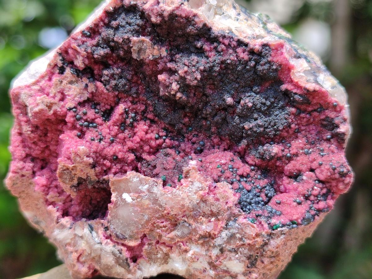 Natural Salrose Cobaltion Dolomite Specimens x 12 From Kakanda, Congo