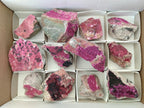 Natural Salrose Cobaltion Dolomite Specimens x 12 From Kakanda, Congo