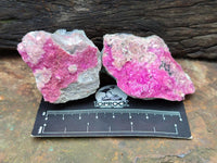 Natural Salrose Cobaltion Dolomite Specimens x 12 From Kakanda, Congo