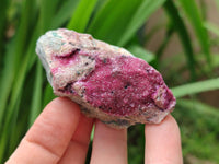 Natural Salrose Cobaltion Dolomite Specimens x 12 From Kakanda, Congo