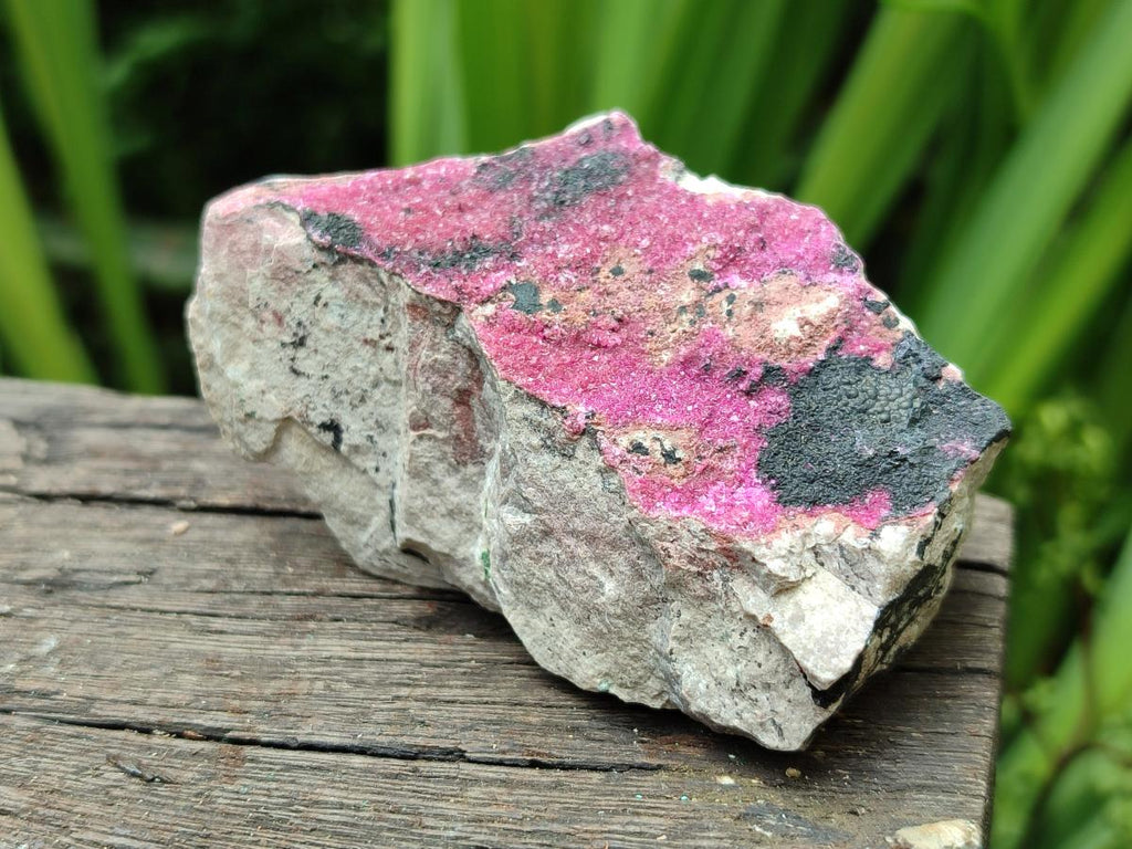 Natural Salrose Cobaltion Dolomite Specimens x 12 From Kakanda, Congo