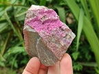 Natural Salrose Cobaltion Dolomite Specimens x 12 From Kakanda, Congo