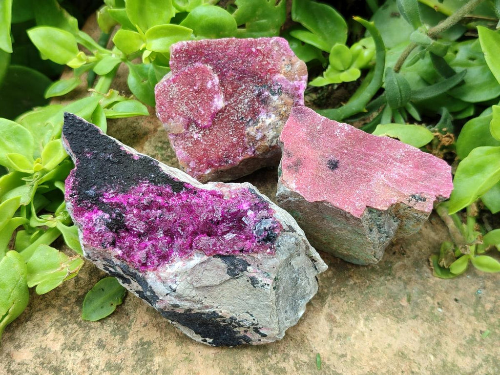 Natural Salrose Cobaltion Dolomite Specimens x 12 From Kakanda, Congo