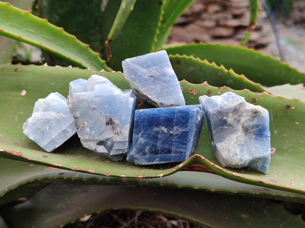 Natural Sky Blue Calcite Specimens x 35 From Namibia