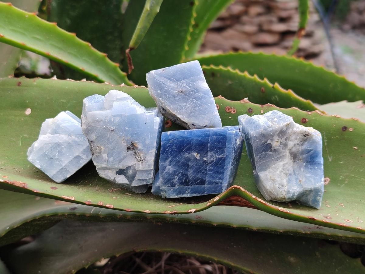 Natural Sky Blue Calcite Specimens x 35 From Namibia