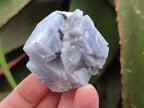Natural Sky Blue Calcite Specimens x 35 From Namibia