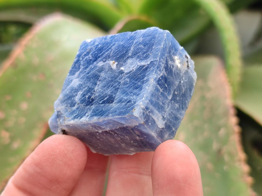Natural Sky Blue Calcite Specimens x 35 From Namibia