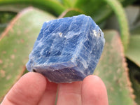 Natural Sky Blue Calcite Specimens x 35 From Namibia