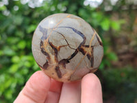 Polished Septerye Galets x 12 From Mahajanga, Madagascar