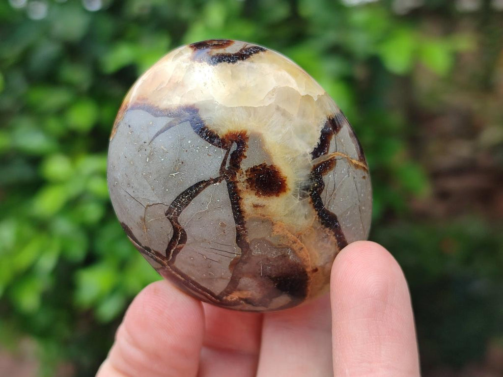 Polished Septerye Galets x 12 From Mahajanga, Madagascar