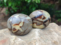 Polished Septerye Galets x 12 From Mahajanga, Madagascar