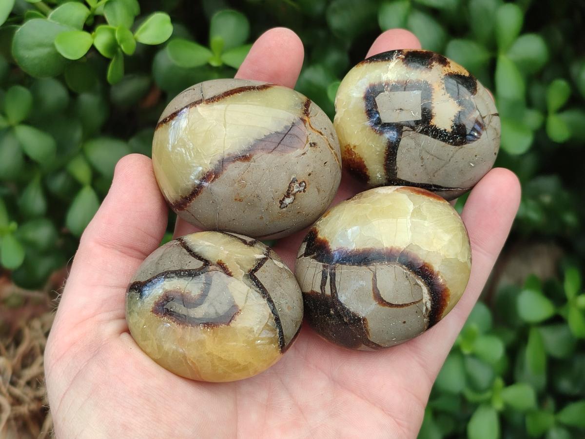 Polished Septerye Galets x 12 From Mahajanga, Madagascar