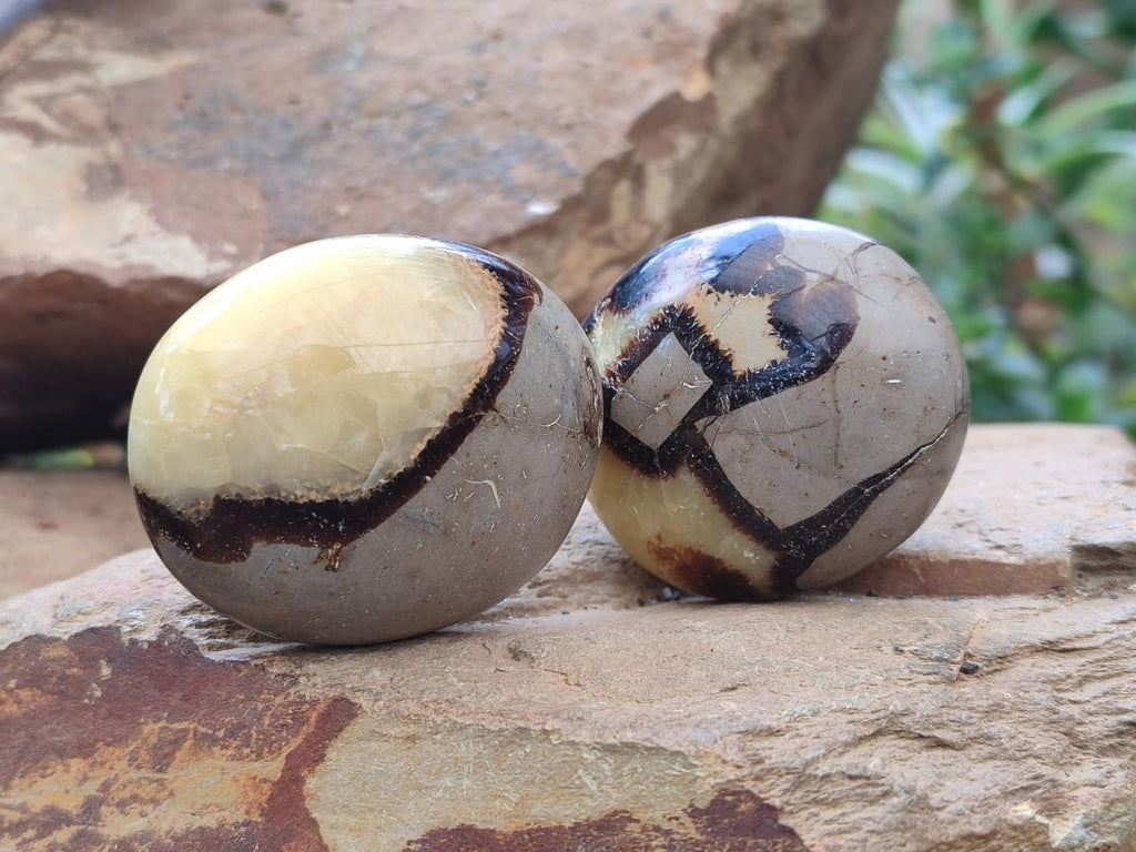 Polished Septerye Galets x 12 From Mahajanga, Madagascar