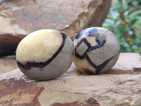 Polished Septerye Galets x 12 From Mahajanga, Madagascar