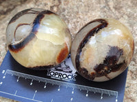 Polished Septerye Galets x 12 From Mahajanga, Madagascar