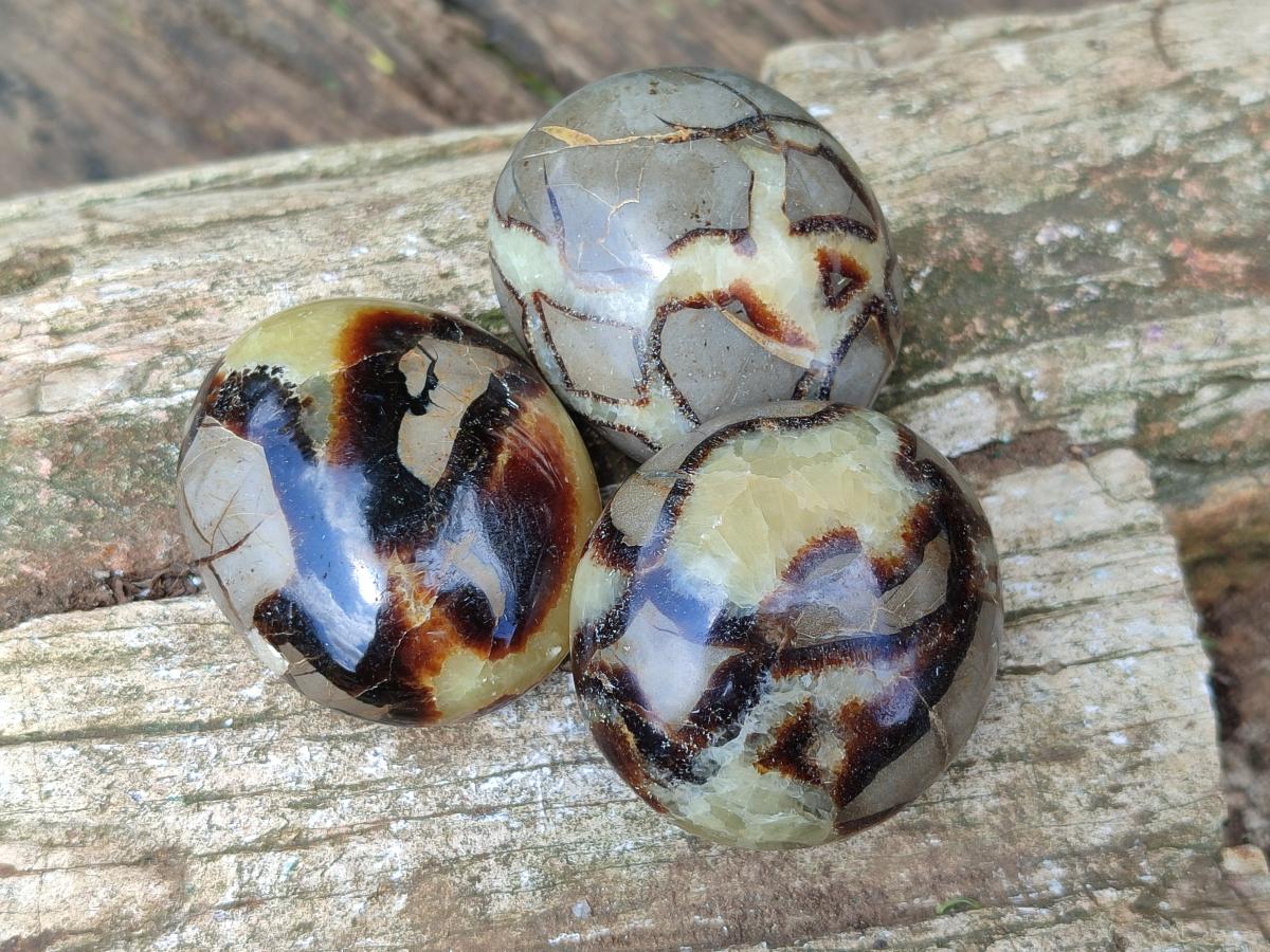 Polished Septerye Galets x 12 From Mahajanga, Madagascar