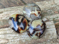 Polished Septerye Galets x 12 From Mahajanga, Madagascar