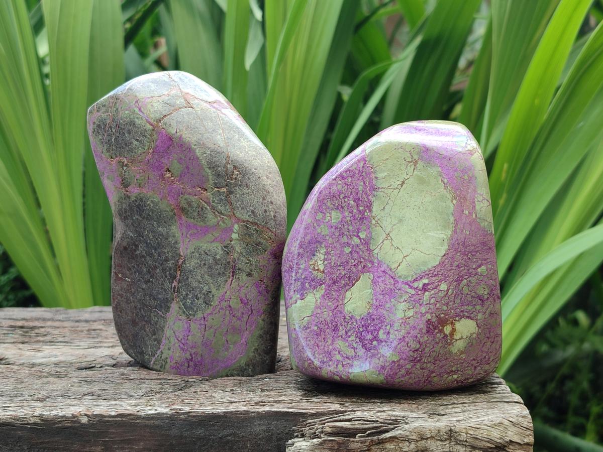 Polished Stichtite Standing Free Forms x 2 From Barberton, South Africa