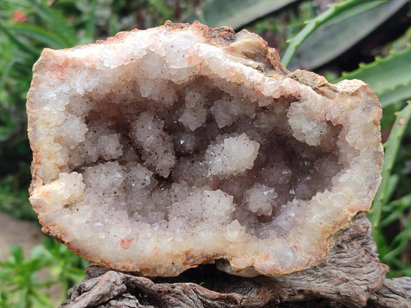 Natural Amethyst Agate Geodes x 3 From Zululand, South Africa