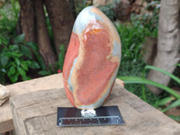 Polished Polychrome Jasper Standing Free Forms x 3 From NW Coast, Madagascar