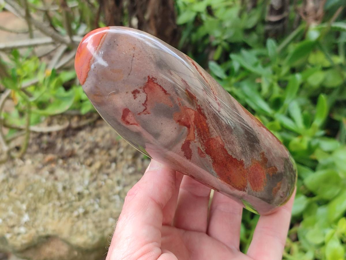 Polished Polychrome Jasper Standing Free Forms x 3 From NW Coast, Madagascar