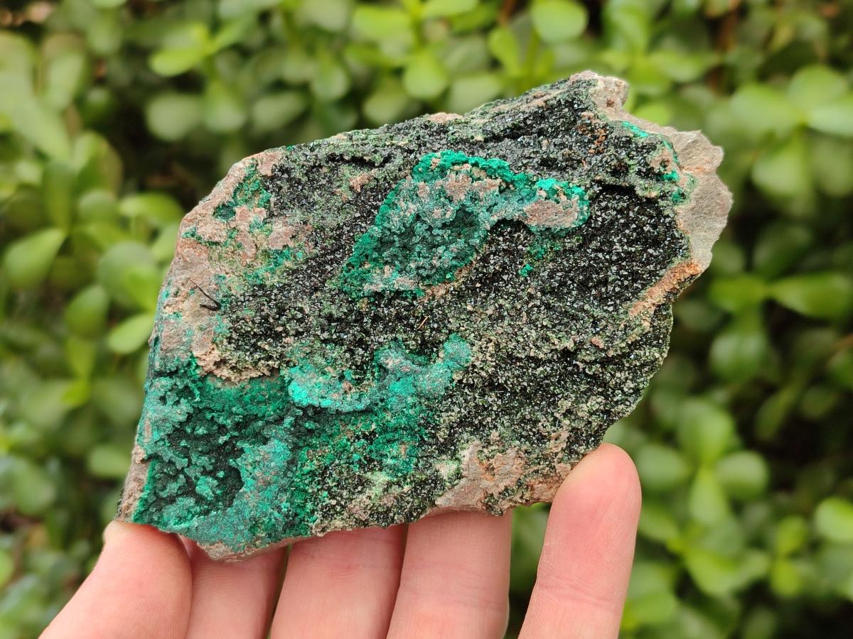 Natural Libethenite Crystals On Dolomite Matrix Specimens x 4 From Shituru, Congo