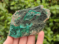 Natural Libethenite Crystals On Dolomite Matrix Specimens x 4 From Shituru, Congo