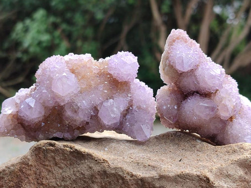 Natural Ametrine Amethyst Spirit Clusters x 6 From Boekenhouthoek, South Africa - Toprock Gemstones and Minerals 