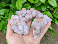 Natural Ametrine Amethyst Spirit Clusters x 6 From Boekenhouthoek, South Africa