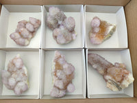 Natural Ametrine Amethyst Spirit Clusters x 6 From Boekenhouthoek, South Africa