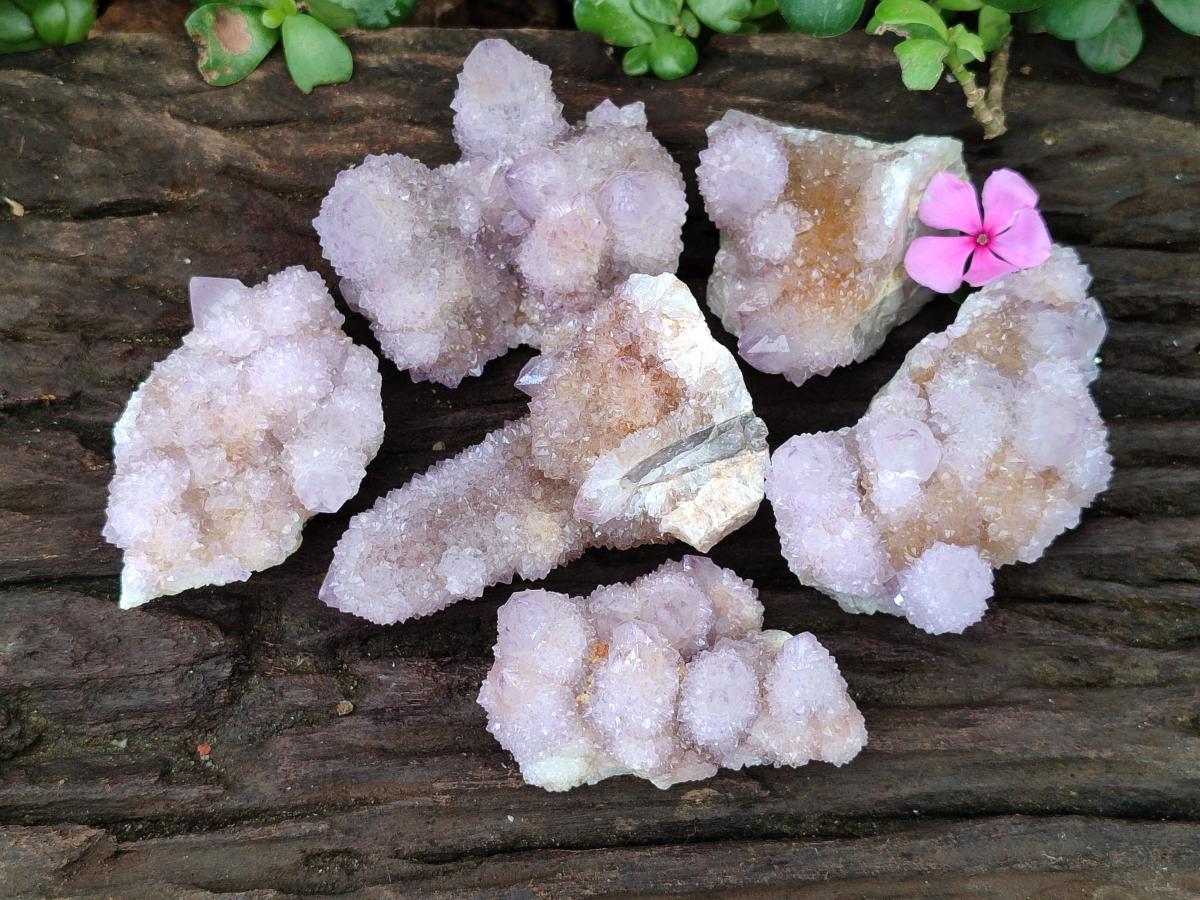 Natural Ametrine Amethyst Spirit Clusters x 6 From Boekenhouthoek, South Africa
