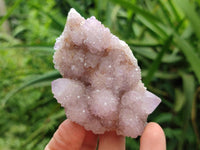 Natural Ametrine Amethyst Spirit Clusters x 6 From Boekenhouthoek, South Africa