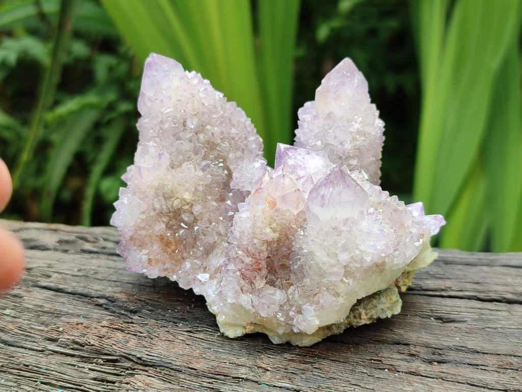 Natural Ametrine Amethyst Spirit Clusters x 6 From Boekenhouthoek, South Africa