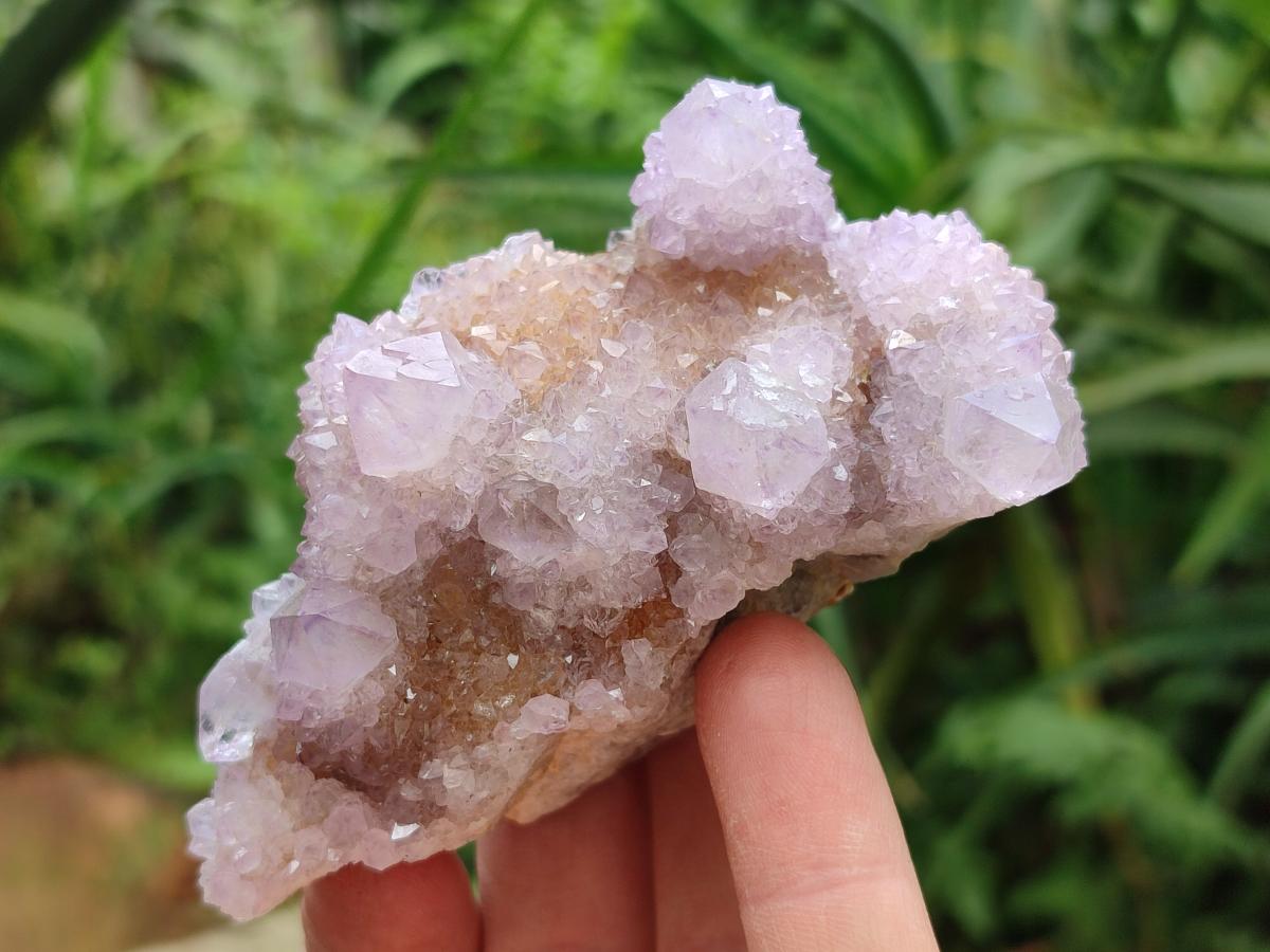 Natural Ametrine Amethyst Spirit Clusters x 6 From Boekenhouthoek, South Africa