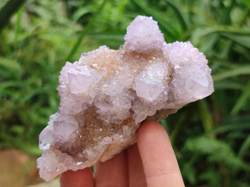 Natural Ametrine Amethyst Spirit Clusters x 6 From Boekenhouthoek, South Africa - Toprock Gemstones and Minerals 