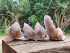 Natural Ametrine Amethyst Spirit Clusters x 6 From Boekenhouthoek, South Africa