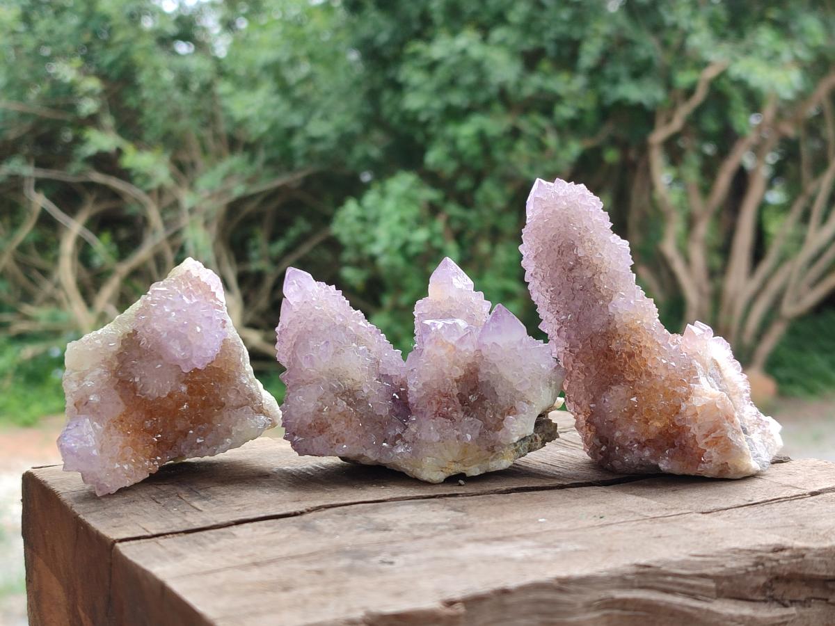 Natural Ametrine Amethyst Spirit Clusters x 6 From Boekenhouthoek, South Africa