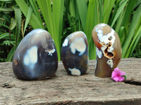 Polished Snow Orca Agate Standing Free Forms x 3 From Madagascar