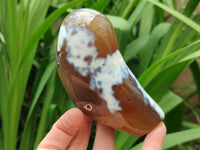 Polished Snow Orca Agate Standing Free Forms x 3 From Madagascar