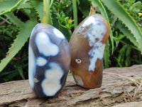 Polished Snow Orca Agate Standing Free Forms x 3 From Madagascar