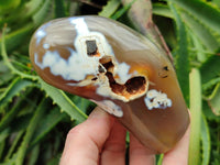 Polished Snow Orca Agate Standing Free Forms x 3 From Madagascar