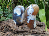 Polished Snow Orca Agate Standing Free Forms x 3 From Madagascar