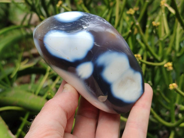 Polished Snow Orca Agate Standing Free Forms x 3 From Madagascar