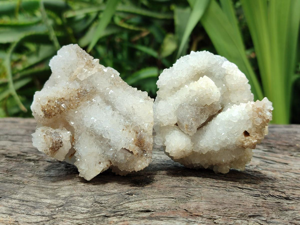 Natural Drusy Snow Finger Crystals x 12 From Albert's Mountain, Lesotho