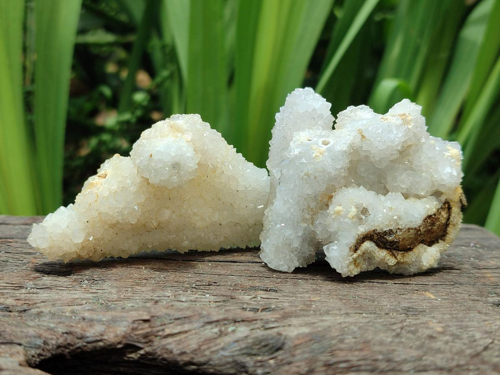 Natural Drusy Snow Finger Crystals x 12 From Albert's Mountain, Lesotho