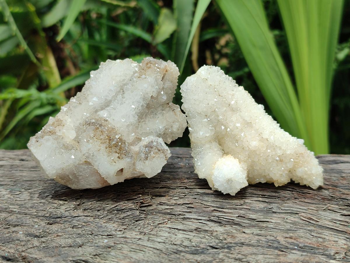 Natural Drusy Snow Finger Crystals x 12 From Albert's Mountain, Lesotho