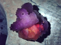 Natural Drusy Snow Finger Crystals x 12 From Albert's Mountain, Lesotho