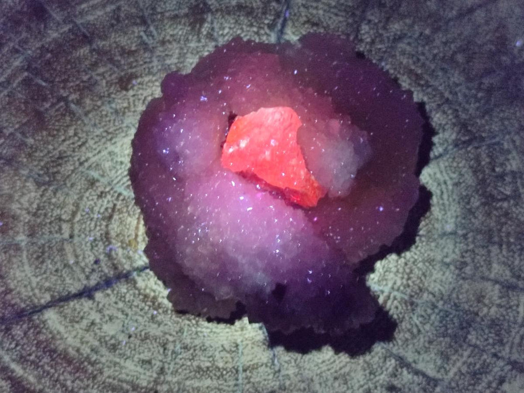 Natural Drusy Snow Finger Crystals x 12 From Albert's Mountain, Lesotho