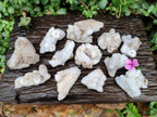 Natural Drusy Snow Finger Crystals x 12 From Albert's Mountain, Lesotho