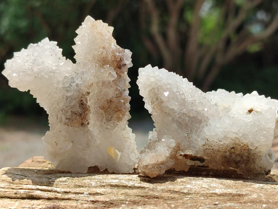 Natural Drusy Snow Finger Crystals x 12 From Albert's Mountain, Lesotho
